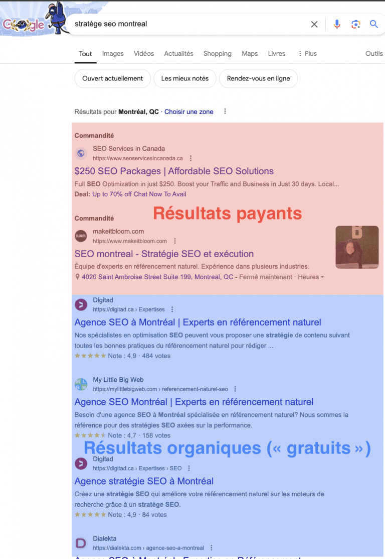 Exemple de r&eacute;sultats de recherche payants vs gratuits